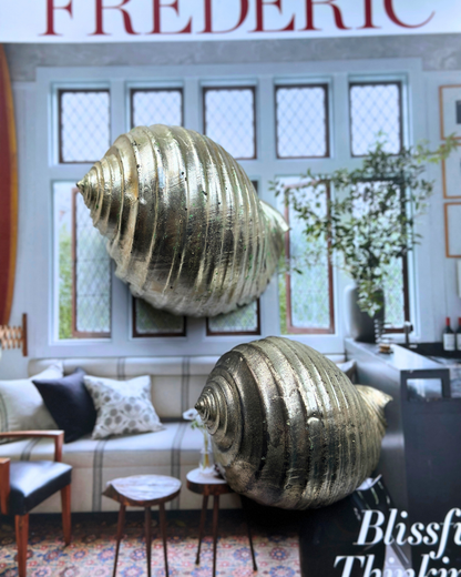Silver-Plated Pair of Tonna Shell Specimens - Coastal Curiosities