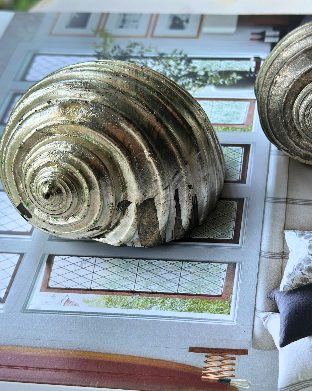Silver-Plated Pair of Tonna Shell Specimens - Coastal Curiosities