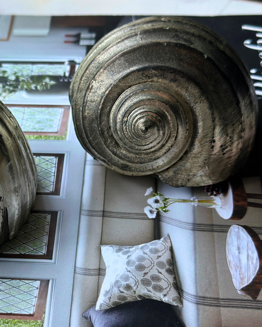 Silver-Plated Pair of Tonna Shell Specimens - Coastal Curiosities