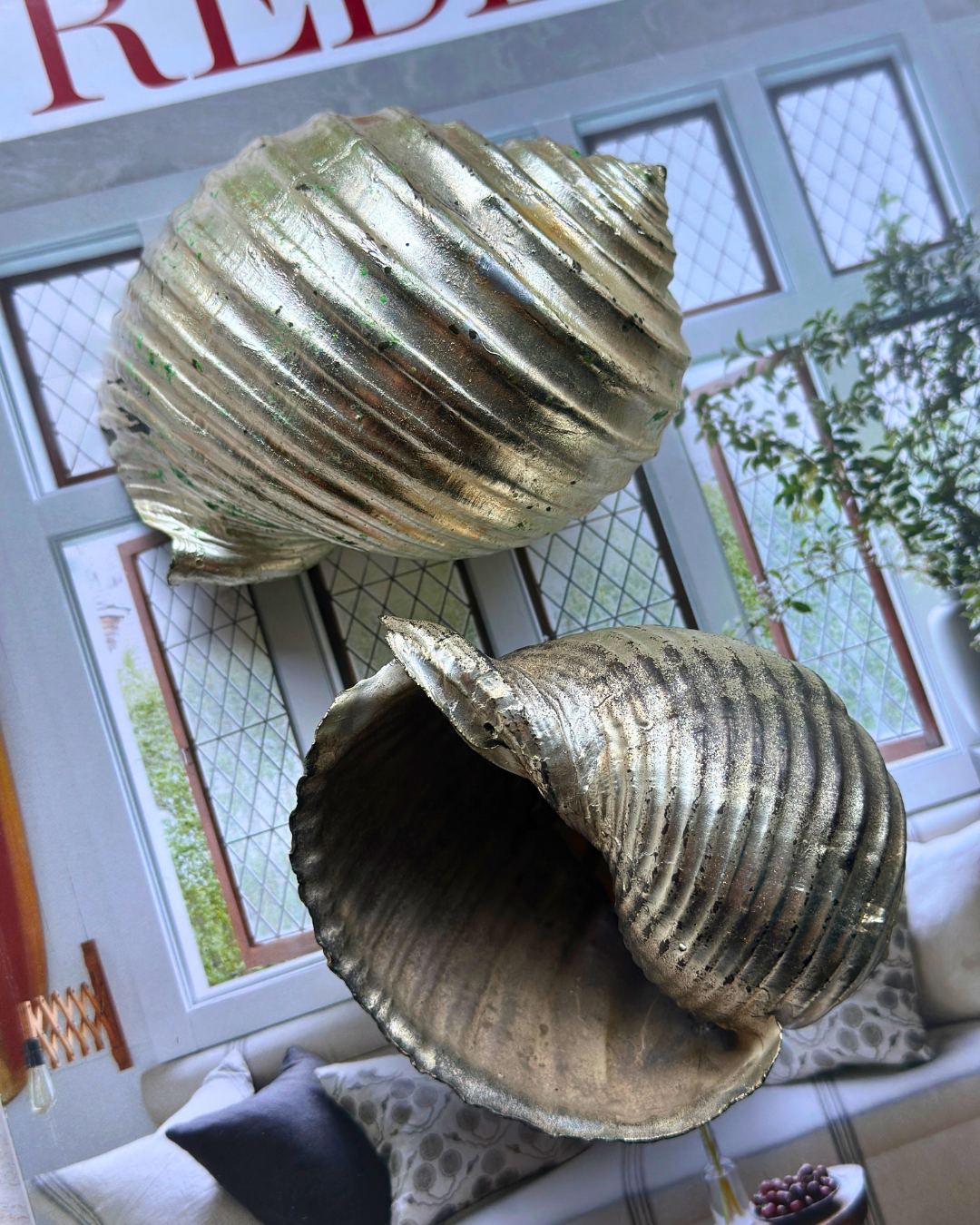 Silver-Plated Pair of Tonna Shell Specimens - Coastal Curiosities
