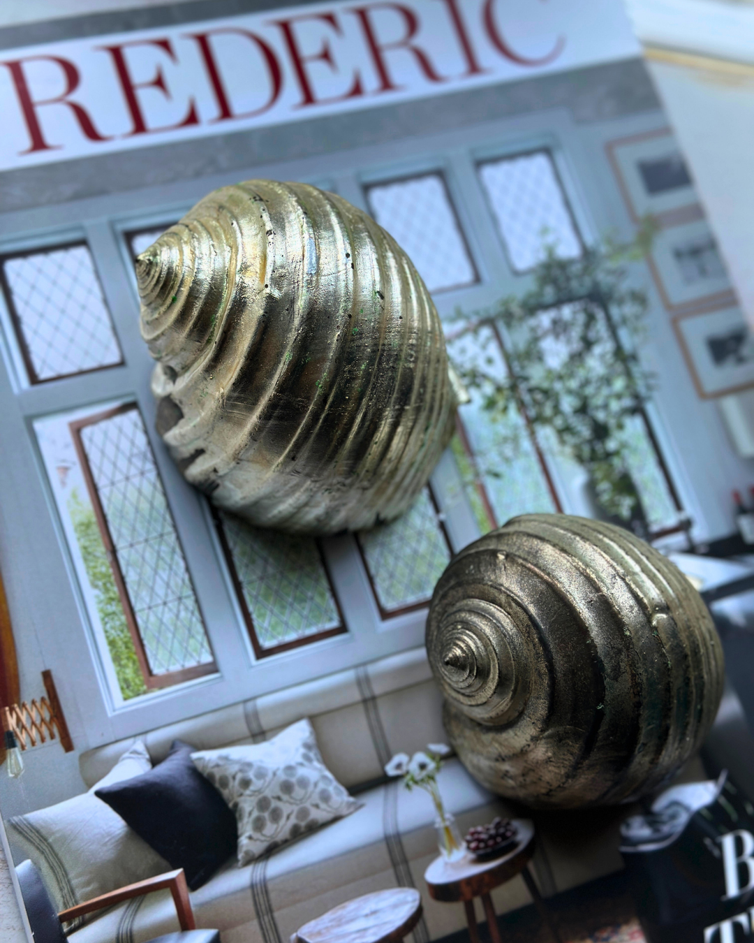 Silver-Plated Pair of Tonna Shell Specimens - Coastal Curiosities