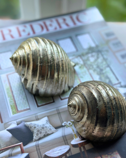 Silver-Plated Pair of Tonna Shell Specimens - Coastal Curiosities