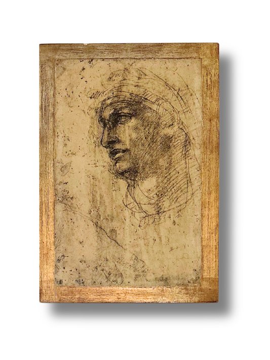 Fratelli Alinari Art Print of Study of Adam by Michaelangelo Buonarroti